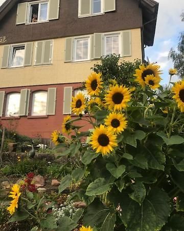 Sonnige Ferienwohnung Schramberg Ngoại thất bức ảnh