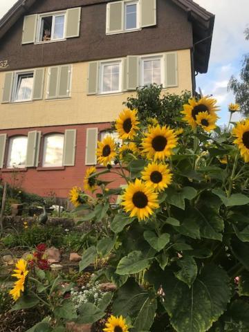 Sonnige Ferienwohnung Schramberg Ngoại thất bức ảnh